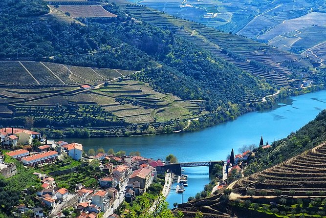 Private Premium Wine Experience through Douro Valley - Winery lunch in Pinhão: three courses, local Portuguese flavors, and pairings