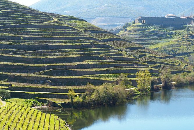 Private Premium Wine Experience through Douro Valley - Price and value: what $733.69 per person buys in real terms