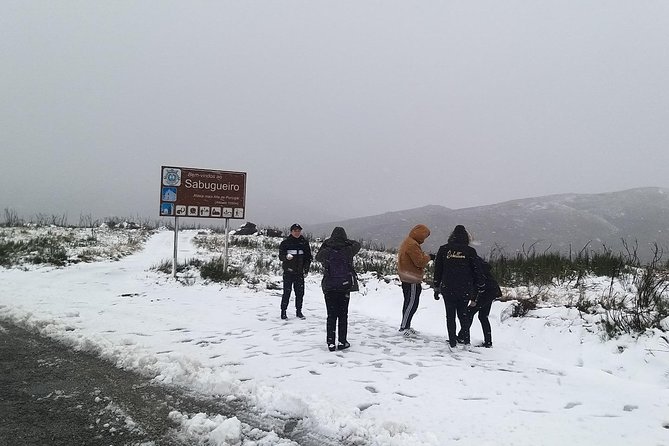 Private Serra da Estrela Gastronomy & Snow Tour from Porto - Torre da Serra da Estrela: the 1,993-metre payoff and winter ski-season energy