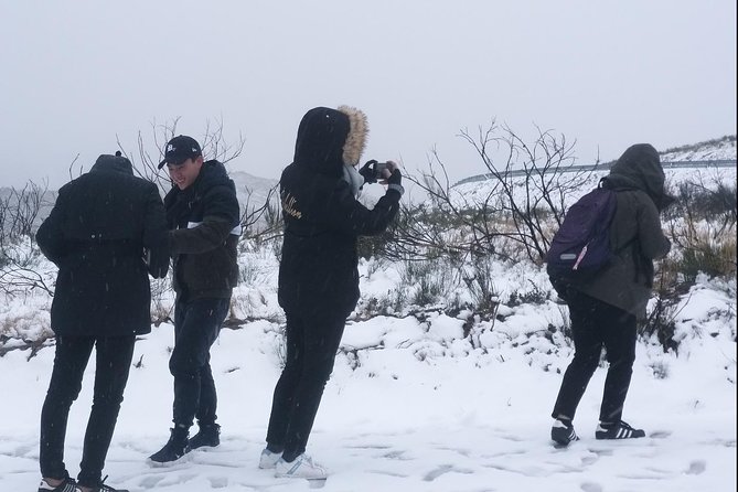 Private Serra da Estrela Gastronomy & Snow Tour from Porto - Food and drink planning: lunch costs and how to not get surprised