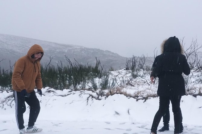 Private Serra da Estrela Gastronomy & Snow Tour from Porto - Price and value versus doing it on your own
