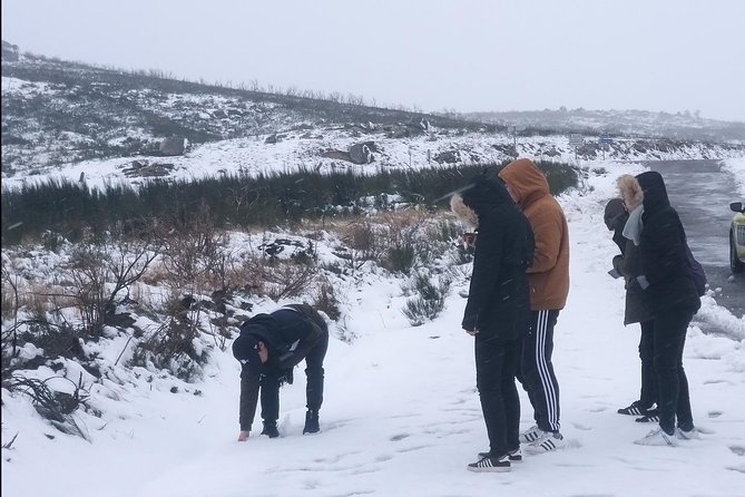 Private Serra da Estrela Gastronomy & Snow Tour from Porto - Who this tour fits best (and who might want a different day)