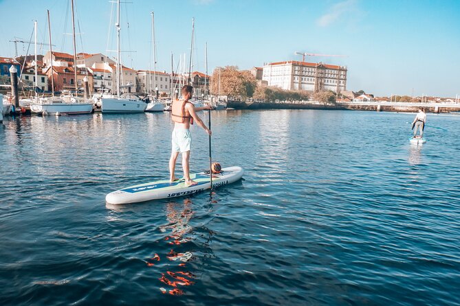 Private Stand Up Paddle Experience in Vila do Conde - Price and what you get for $37.95 per person