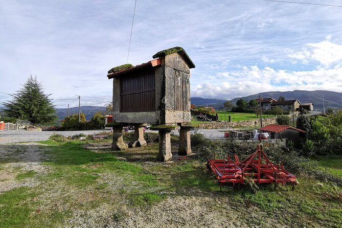 Private / tailor made experience in Gerês National Park - The reforestation project: conservation that is part of the schedule