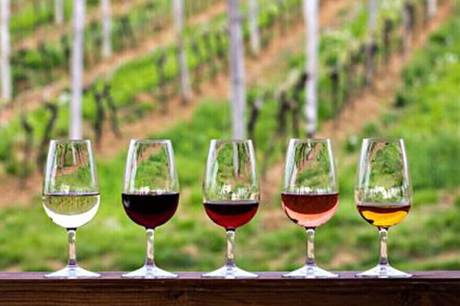 Private Taxi Tour in the Douro with a Visit to 2 Family Vineyards - Quick Takeaways Before You Go