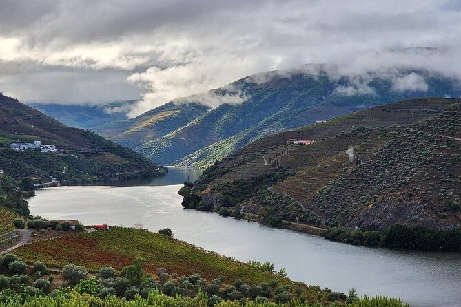 Private Taxi Tour in the Douro with a Visit to 2 Family Vineyards - Peso da Régua at 10:15 am: Why This Starting Point Works