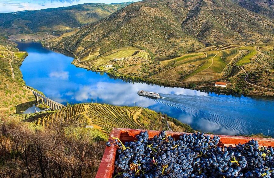 Private Tour: Douro Valley Wine and Food From Porto - Key points