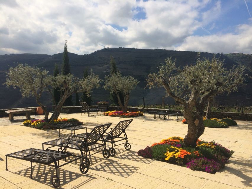 Private Tour: Douro Valley Wine and Food From Porto - Porto to Régua in a Comfortable Private Van