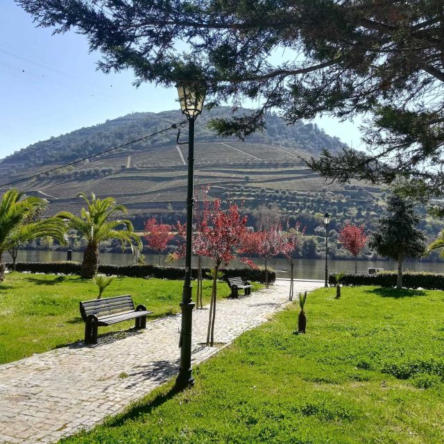 Private Tour: Douro Valley Wine and Food From Porto - Do a River Cruise or Tour the Tile-Decked Station