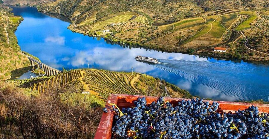 Private Tour: Douro Valley Wine and Food From Porto - Should You Book This Private Douro Valley Day?