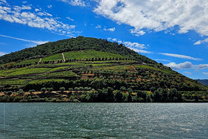 Private Tour from Porto : Douro Valley and Green Wines - Porto Wine Production Stop: A Brief Cellar Walk Plus Tasting