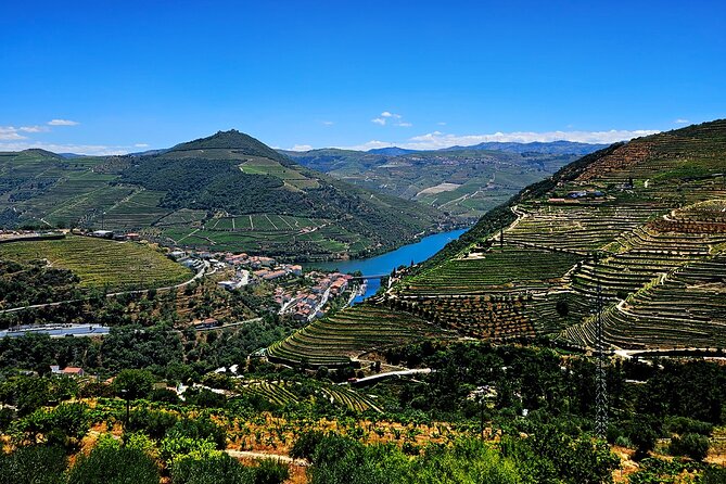 Private Tour from Porto : Douro Valley and Green Wines - Price and Value: What $216.26 Buys You, and What It Does Not