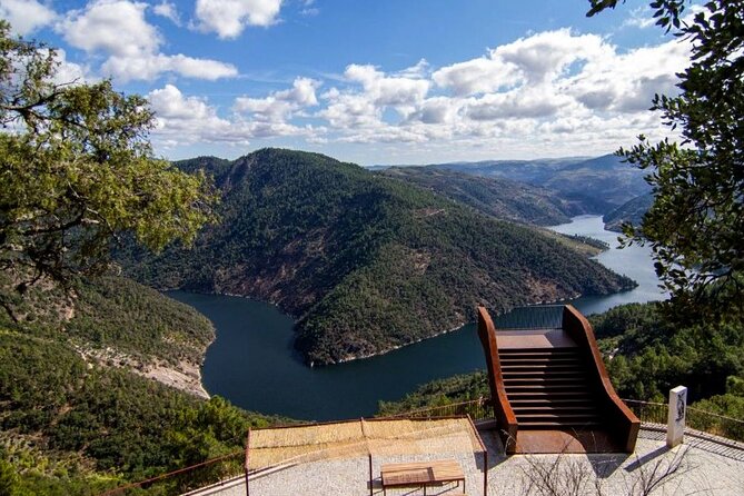 Private Tour from Porto : Douro Valley and Green Wines - What to Pack and How to Enjoy Wine Tastings