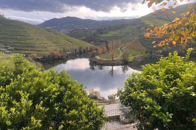 Private Tour From Porto To Douro Valley With River Boat Ride - Pinhão Lunch and Douro DOC Tastings Without the Rush