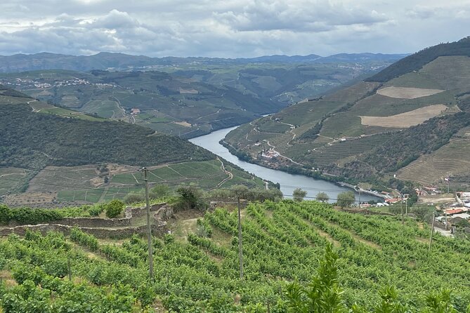 Private Tour From Porto To Douro Valley With River Boat Ride - Casal de Loivos Village: Wine and Olive Oil Beyond the Vineyards