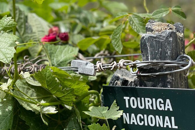 Private Tour From Porto To Douro Valley With River Boat Ride - Price and Logistics: Is This $345.51 Per Person Good Value?