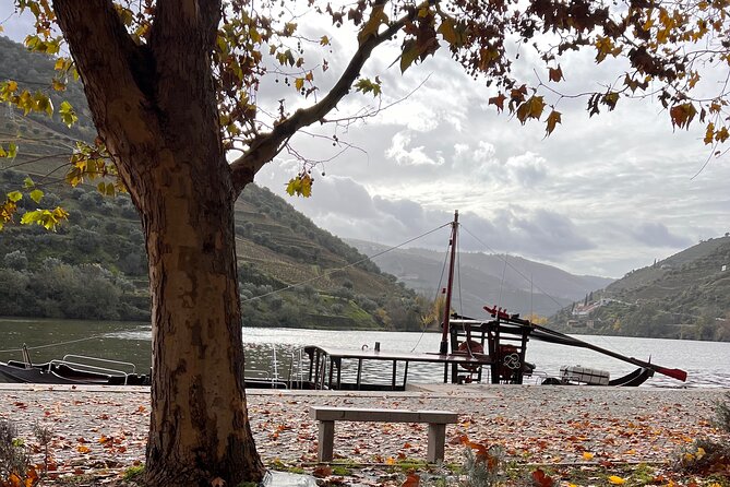 Private Tour From Porto To Douro Valley With River Boat Ride - Route Highlights: Amarante, Marão Tunnel, and Road 222 Views