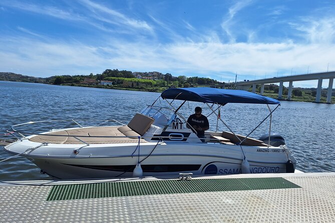 Private Tour of the 6 Bridges with Port Wine - Marina do Freixo start: where the tour settles you in