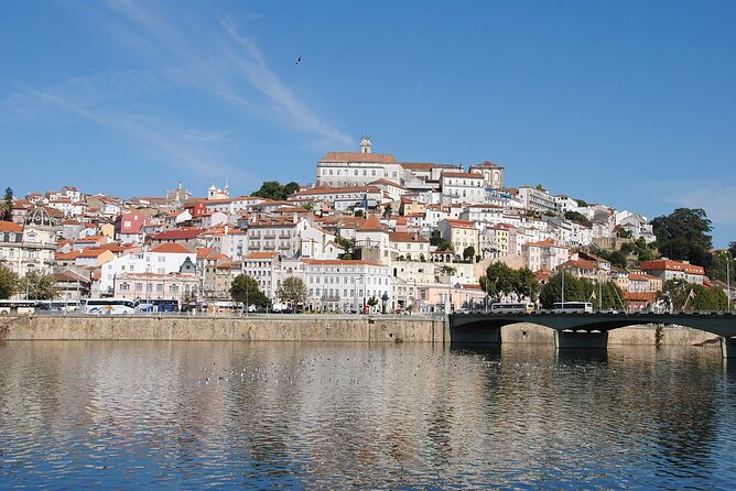 Private Tour: Porto to Lisbon: visit Aveiro,Coimbra,Fatima,Obidos - Coimbra and the University Founded in 1290