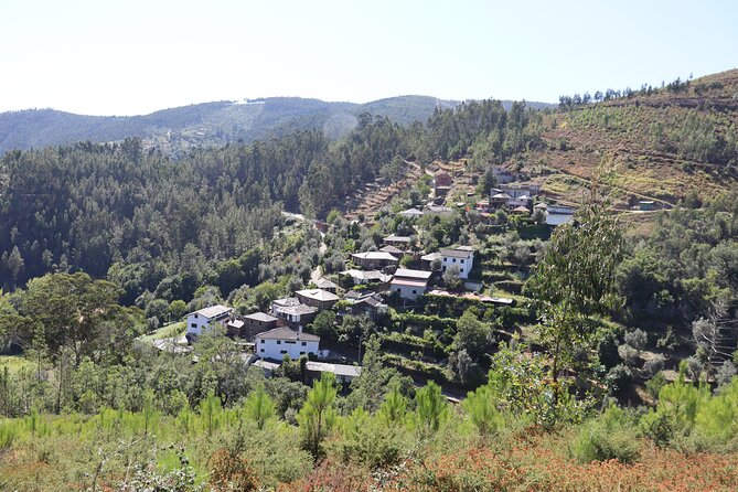 Private Tour to Arouca 516 Bridge and Passadiços do Paiva - Alvarenga and Janarde: eating well and seeing real village life