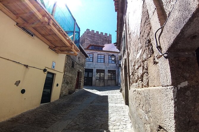 Private Tour to Lamego and Viseu, the Dão wine region - Price and Logistics: What $304.85 per Person Really Includes