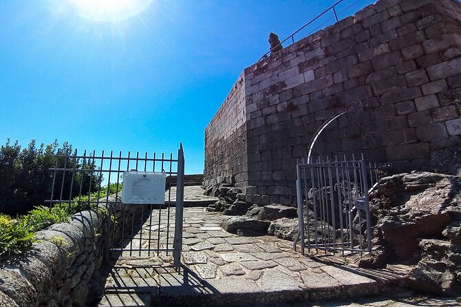 Private Tour to Lamego and Viseu, the Dão wine region - Palácio dos Condes de Anadia: When Baroque Turns Into 18th Century Life