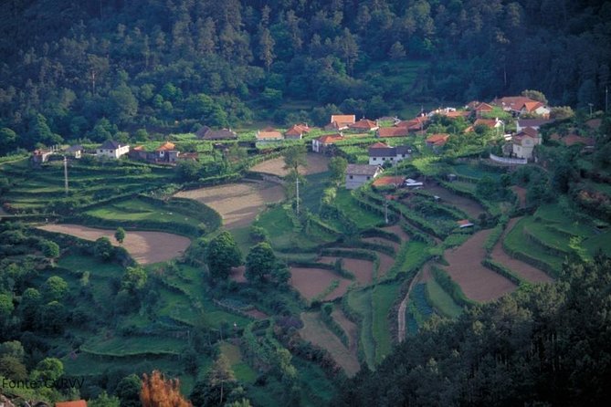 Private tour to Ponte de Lima, Vinho Verde region - Capela do Anjo da Guarda and Santo António da Torre Velha