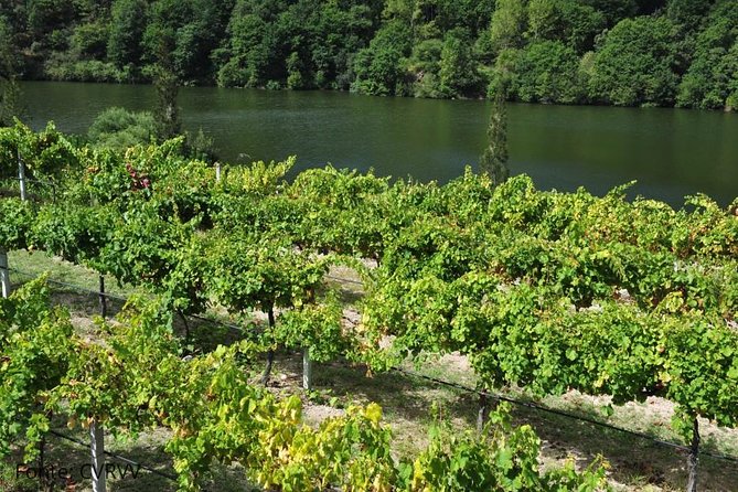 Private tour to Ponte de Lima, Vinho Verde region - Dona Teresa to the Matriz Church: a Gothic highlight in the town center