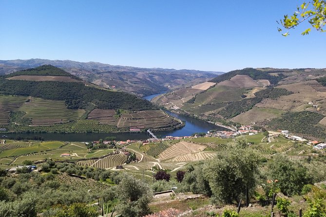 Private Tour to stunning Douro Valley and most renowned wineries - How the Private Douro Day From Porto Works