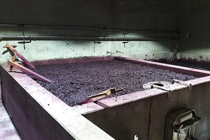 Private Tour to stunning Douro Valley and most renowned wineries - Peso da Régua: Douro Museum Time and Wine Capital Energy (15 minutes)