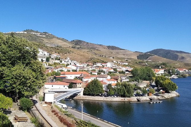 Private Tour to stunning Douro Valley and most renowned wineries - What the Guides Really Add: Paulo and Carlos, Plus Ana’s Planning