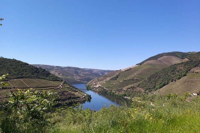 Private Tour to the rock art of Côa Park, Pinhão and Winery - Luxury comfort, early start, and a smooth run out of Porto