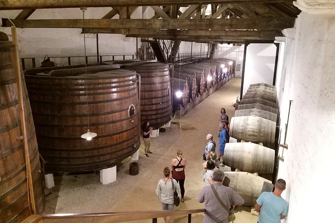 Private Tour to the rock art of Côa Park, Pinhão and Winery - Stop 3: Capela de Santa Luzia, a calm break with benches