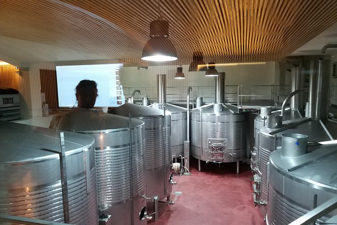 Private Tour to the rock art of Côa Park, Pinhão and Winery - Stop 6: Quinta do Seixo (Sandeman) tasting, if you want a modern-and-traditional blend