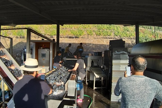 Private Tour to the rock art of Côa Park, Pinhão and Winery - Stop 7: Quinta do Bomfim, a strong Port focus for Port lovers