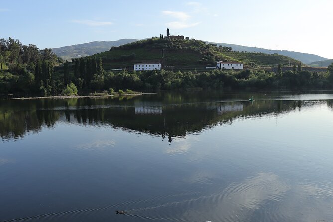 Private tour with 2 wineries and typical harmonized lunch - Why This Douro Wineries Tour Fits So Well