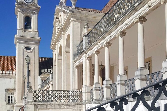 Private transfer from Oporto to Lisbon or Lisbon to Oporto - Aveiro Canal Time and Ovosmoles: A Stop That Feels Like a Bonus City