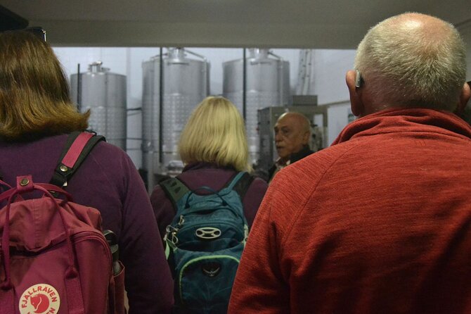Private Vinho Verde Region Wine Tour from Porto Including Lunch - Vale de Sousa and the second winery: big gardens, different scale