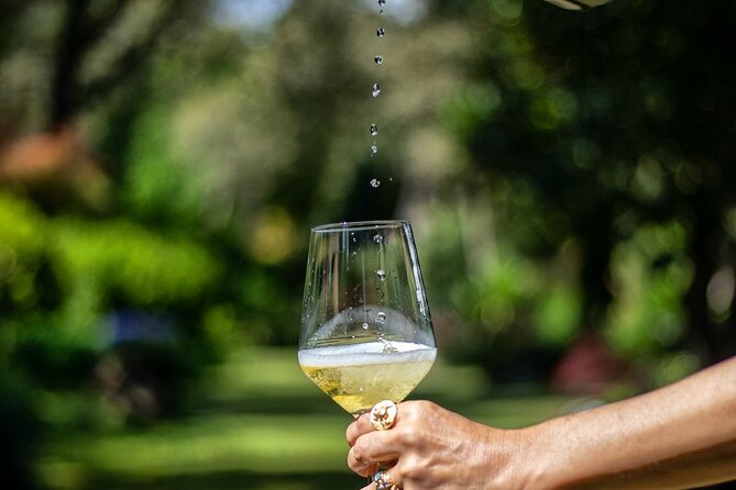 Private Vinho Verde Wine Tour from Porto with Lunch & Tastings - From Porto to Vinho Verde Country in a Mercedes van