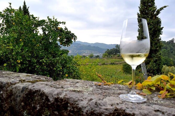 Private Vinho Verde Wine Tour from Porto with Lunch & Tastings - Why two tastings feel more personal than a big winery loop