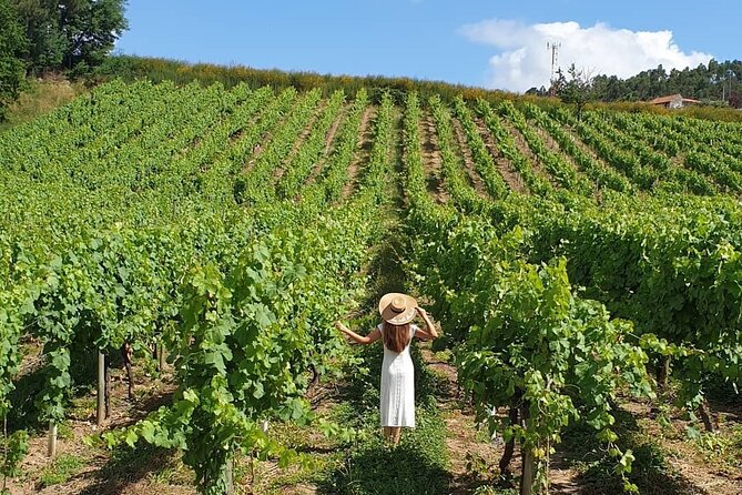 Private Vinho Verde Wine Tour from Porto with Lunch & Tastings - Alcohol rules and the practical side of tastings