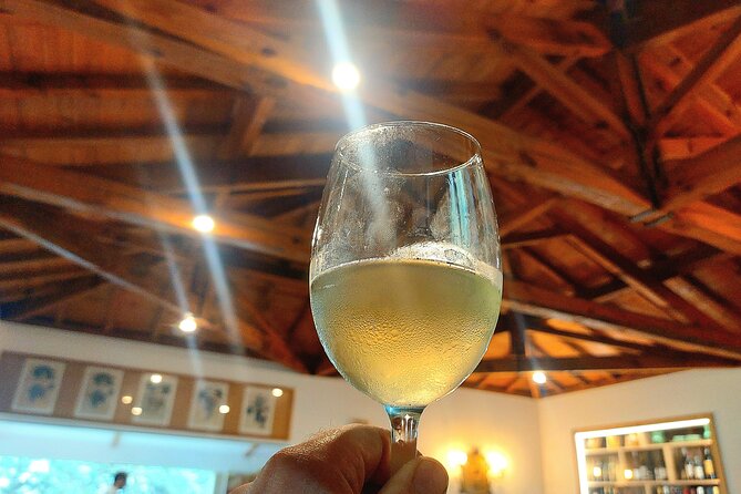 Private Vinho Verde Wine Tour from Porto with Lunch & Tastings - Price and value: what $288.38 gets you