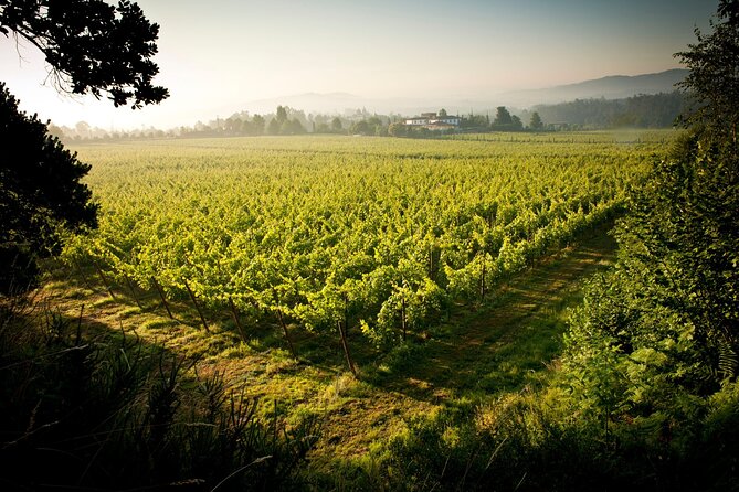 Private Vinho Verde Wine Tour from Porto with Lunch & Tastings - Amarante coffee break: a historic village start instead of a rush