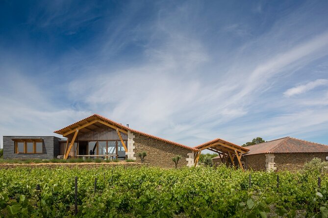 Private visit with wine tasting in Alijó Douro - Practical tips before you go, especially in the Douro