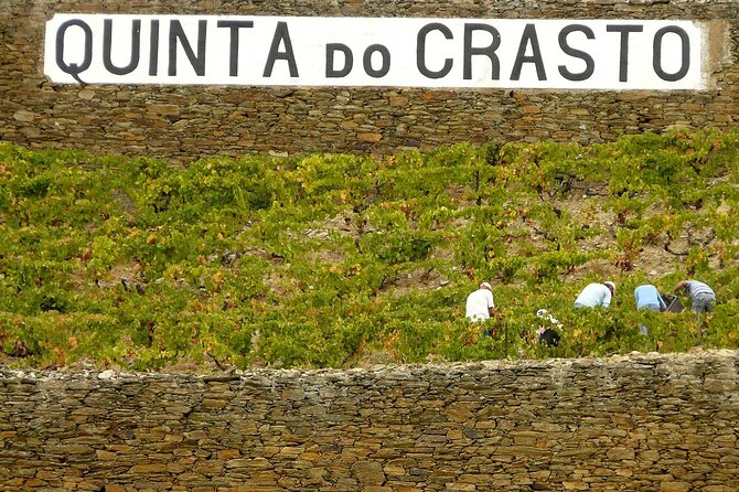 Private Wine & Food Tour in Douro - Quinta Nova de Nossa Senhora do Carmo: The Winemaker’s 4 Course Dinner