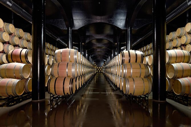 Private Wine & Food Tour in Douro - What You’re Really Paying For: Value at $776.75 Per Person