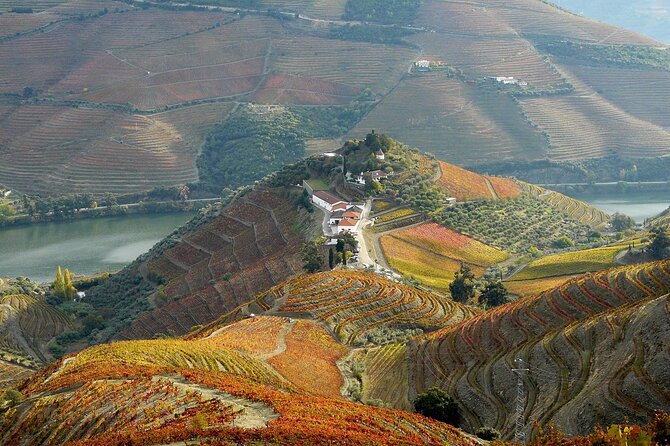 Private Wine & Food Tour in Douro - Who This Private Douro Tour Suits Best