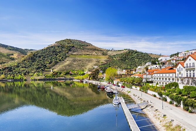 Private Wine & Food Tour in Douro - Quinta do Seixo in Cima-Corgo: Robotic Presses, Cellar Walkthroughs, and Lunch