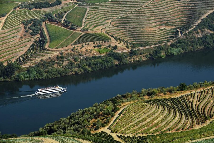 Régua: Wine Tasting at a Farm, Traditional Lunch, Cruise and Train - Price and value, is $125 really fair for this kind of Douro day?