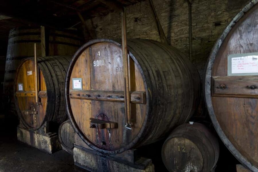 Régua: Wine Tasting at a Farm, Traditional Lunch, Cruise and Train - São Leonardo de Galafura viewpoint, the quick break that earns its time